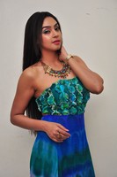 Angana Roy Gallery